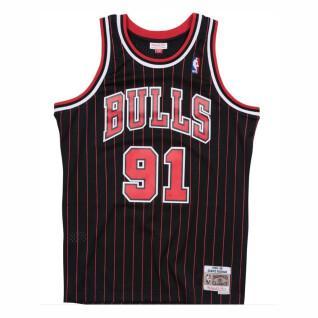 Auténtico jersey Chicago Bulls Dennis Rodman #91 1995/1996