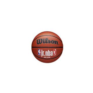 Balón Wilson NBA Fam