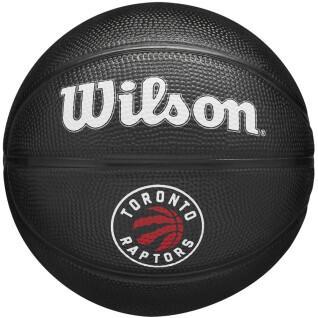 Mini globo nba Toronto Raptors