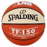 Balón Spalding TF150 LNB