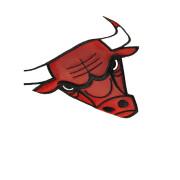 Sudadera con capucha Fusion 2.0 Chicago Bulls
