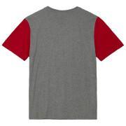 Camiseta San Francisco 49ers NFL Color Blocked