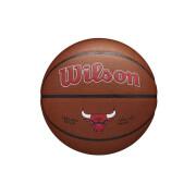 Balón Chicago Bulls NBA Team Alliance