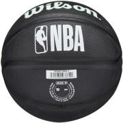 Mini Balón nba Boston Celtics
