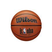 Globo Wilson JR NBA Authentic series outdoor